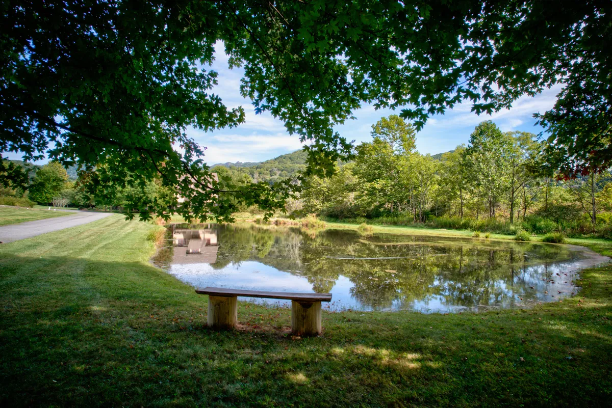 A tranquil pond is the centerpiece, bordered by trees and featuring a wooden bench on its edge. The calm water reflects the surrounding greenery, creating a serene setting. The environment encourages relaxation, fishing, and quiet walks along well-maintained paths, perfectly matching the description of the community's green spaces and trout-stocked pond.