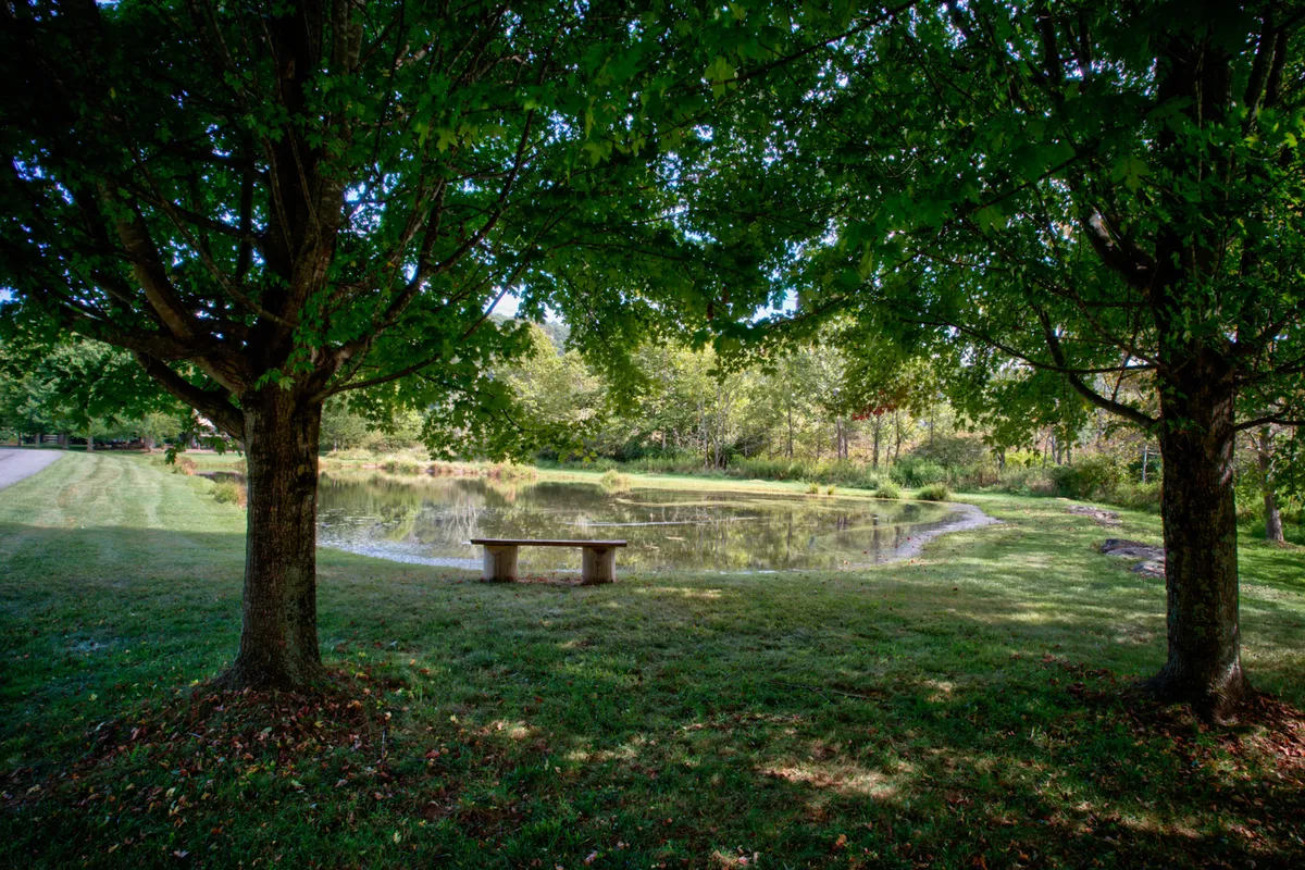 A tranquil community pond sits adjacent to the home, surrounded by lush trees and greenery. A stone bench offers a peaceful spot for picnics, relaxation, or nature-watching. The pond's calm water reflects the surrounding landscape, emphasizing the property's close proximity to outdoor recreational space.
