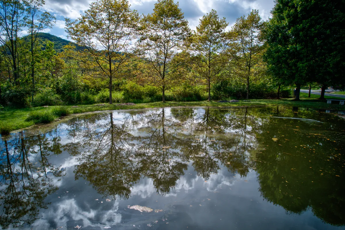 A peaceful pond is nestled among trees and mountains, with a bright sky overhead. The tranquil scene suggests community walking paths and the opportunity for nature observation, picnics, or leisurely strolls. The open space around the pond invites exploration and relaxation in a natural setting.